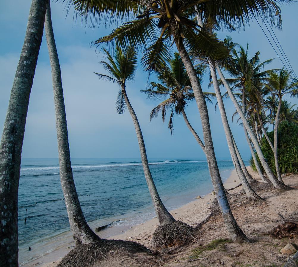 Savenrose Beach Villa Matara Extérieur photo